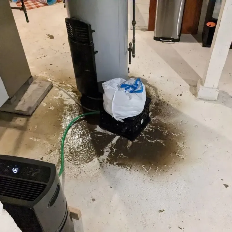 Sewage Backup Cleanup Service in Stanfield, NC